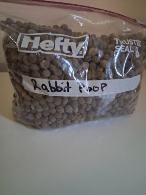 Rabbit Poop